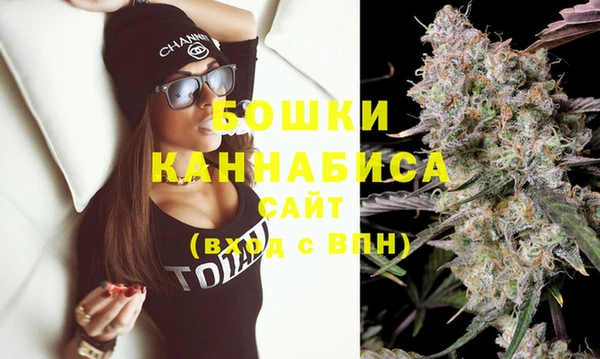 spice Осташков