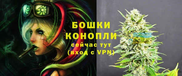 spice Осташков