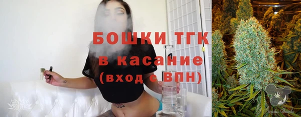 ГАЛЛЮЦИНОГЕННЫЕ ГРИБЫ Таштагол