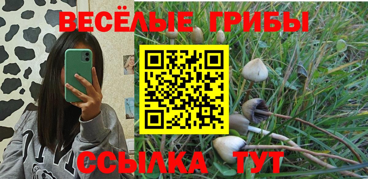 Галлюциногенные грибы GOLDEN TEACHER  Шахты  Псилоцибиновые грибы MAGIC MUSHROOMS 