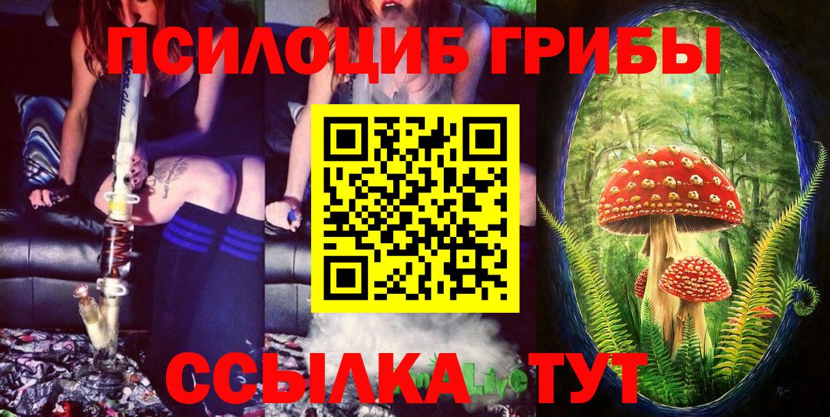 Псилоцибиновые грибы мухоморы Шахты