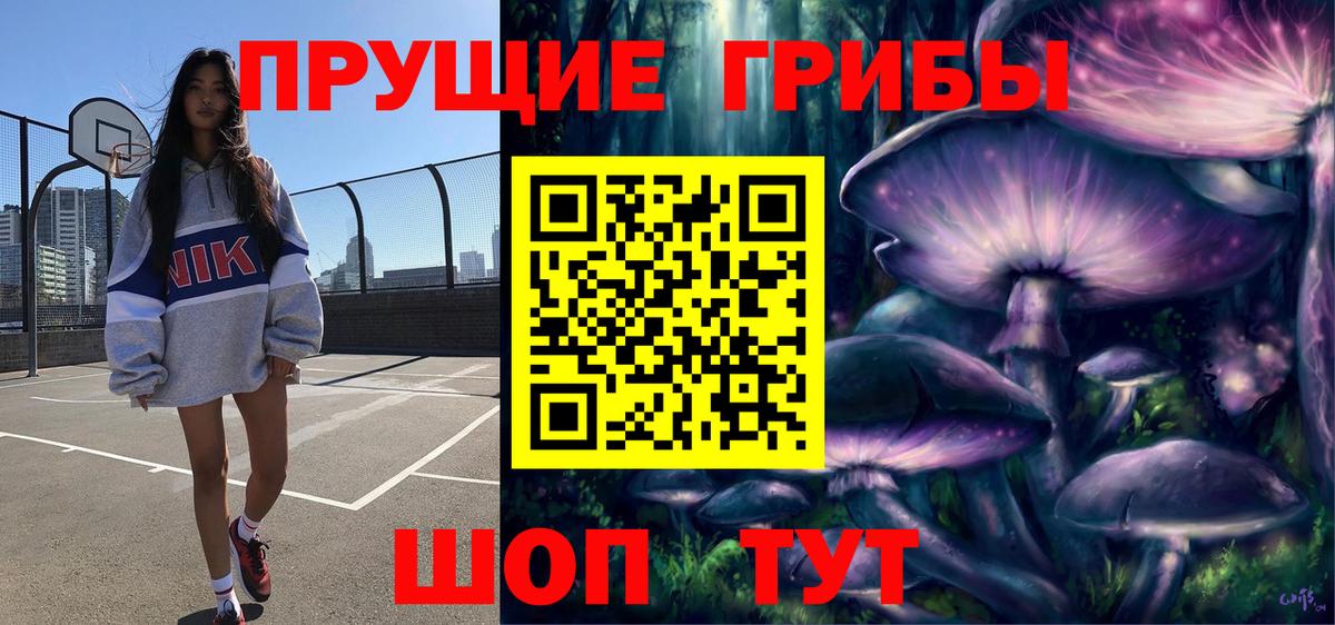 Псилоцибиновые грибы Psilocybine cubensis Шахты