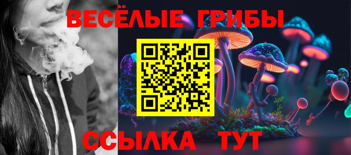 Галлюциногенные грибы Cubensis  Вход с VPN  хочу   Шахты 