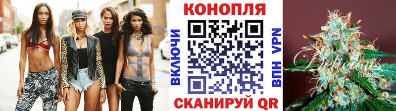 Шишки марихуана план  Шахты 